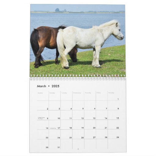 Horse Calendar Personalized | Zazzle