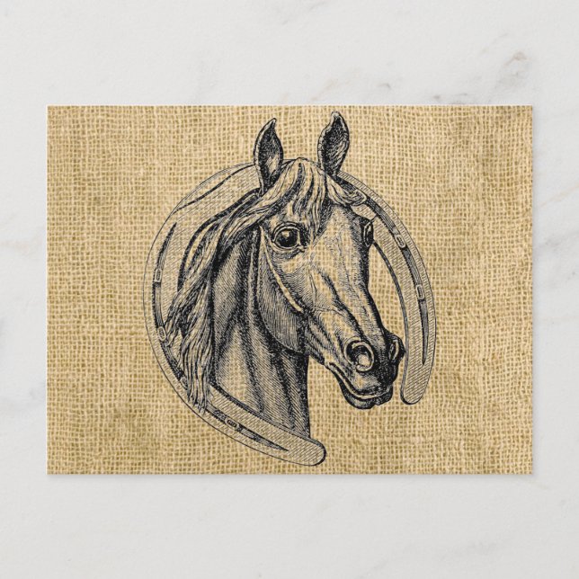 Horse Cameo on Burlap Postcard (Front)