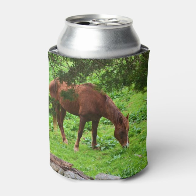 Horse Can Cooler (Can Front)