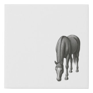 Horse Canvas Print