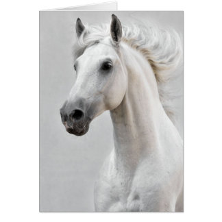 Horse Card
