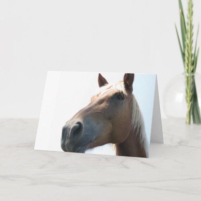 Horse Card (Front)