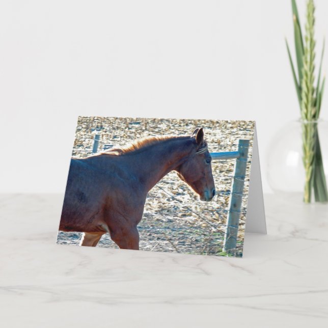 Horse Card (Front)