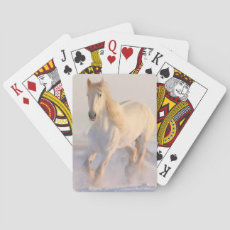 Horse Card Deck