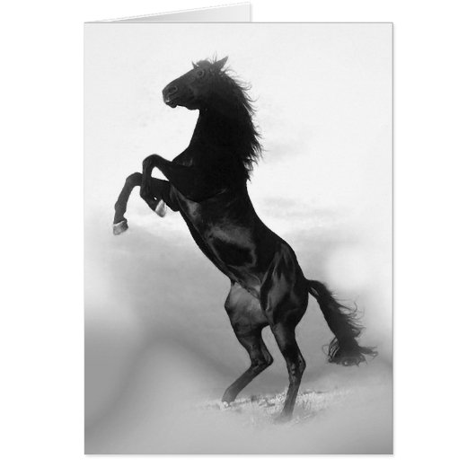 Horse Cards (Front)