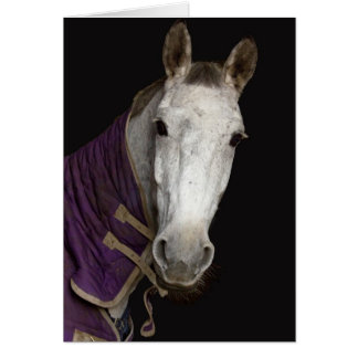 Horse Cards