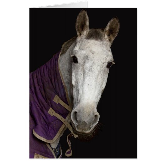Horse Cards (Front)