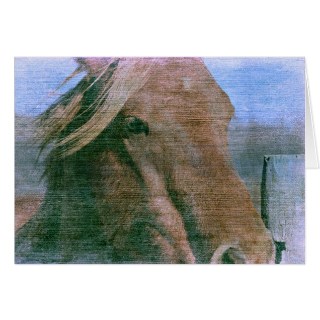Horse Cards (Front Horizontal)