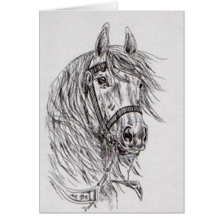 horse cards