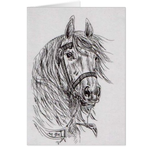 horse cards (Front)