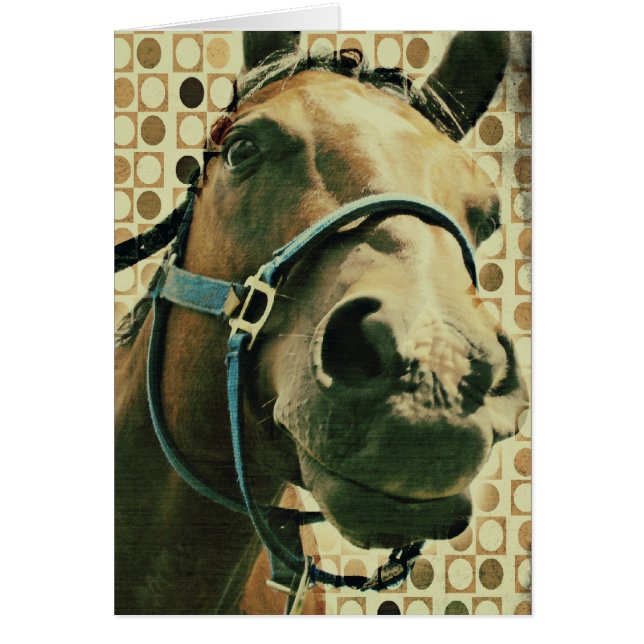Horse Cards (Front)