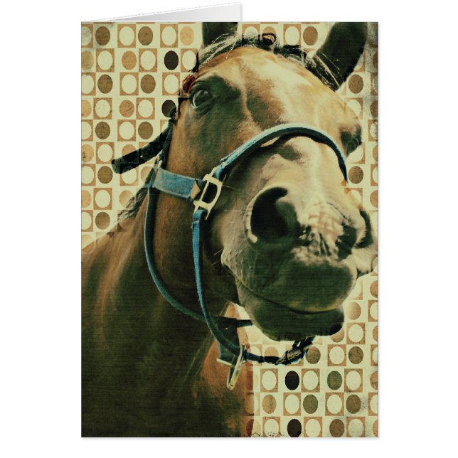 Horse Cards (Front)