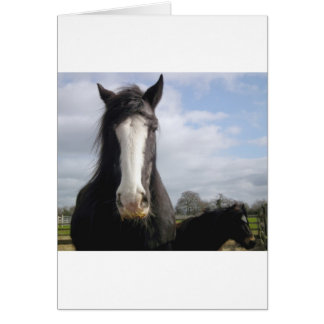 Horse Cards