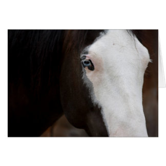 Horse Cards