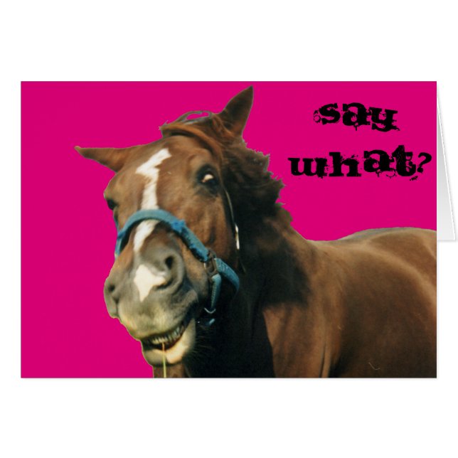 Horse Cards (Front Horizontal)