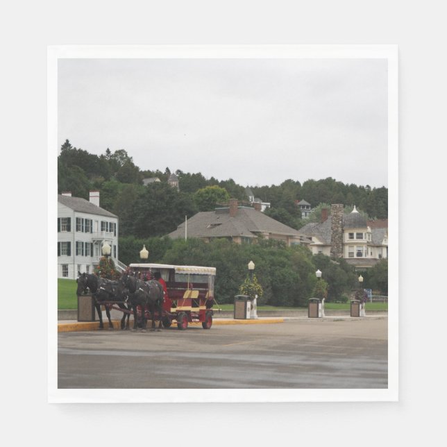 Horse Carriage Mackinac Island Street Napkins (Front)