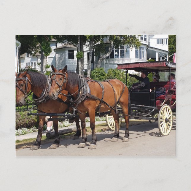 Horse & Carriage on Mackinac Island MI Postcard (Front)