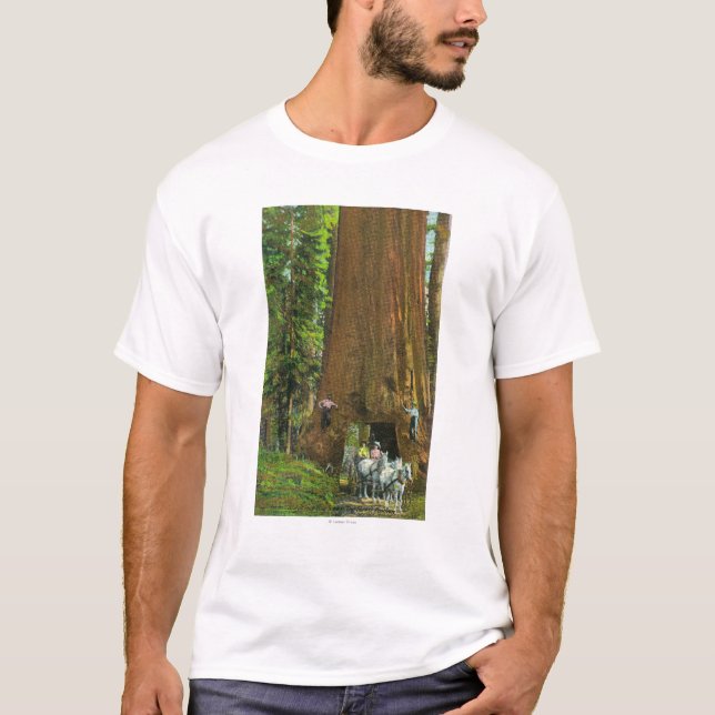 Horse Carriage Under a Giant Redwood T-Shirt (Front)