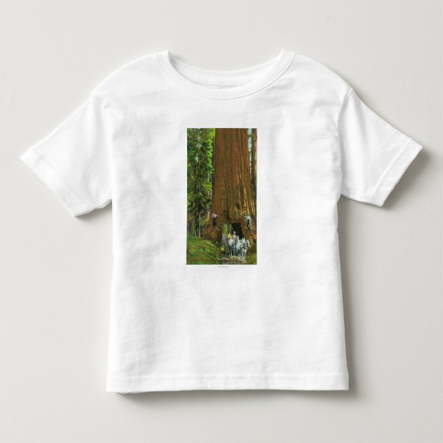 Horse Carriage Under a Giant Redwood Toddler T-shirt (Front)