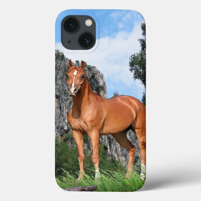 Horse Case-Mate iPhone Case (Back)