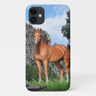 Horse iPhone 11 Case