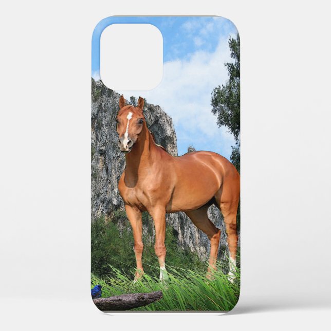 Horse Case-Mate iPhone Case (Back)