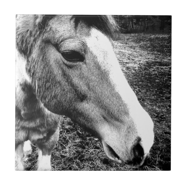 Horse Ceramic Tile (Front)