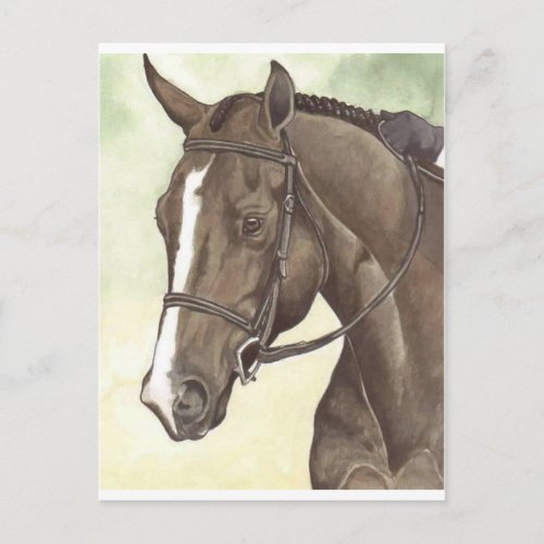 HORSE Champion Appendix QH Mare Postcard