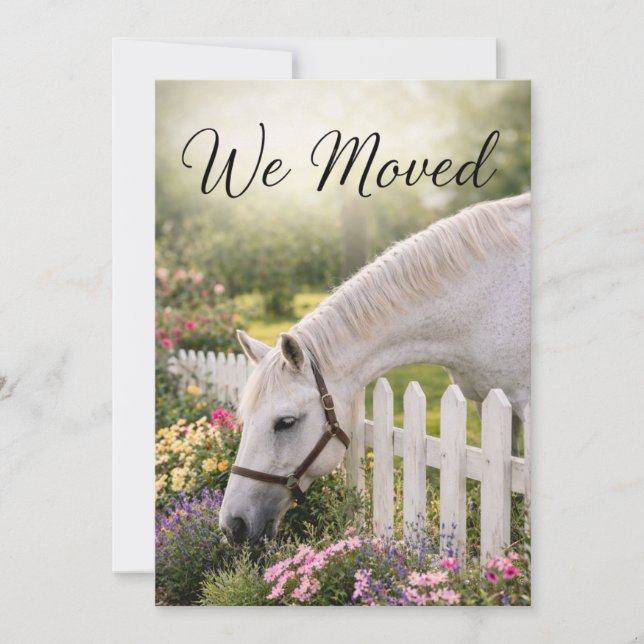 Horse Change of Address  Holiday Card (Front)