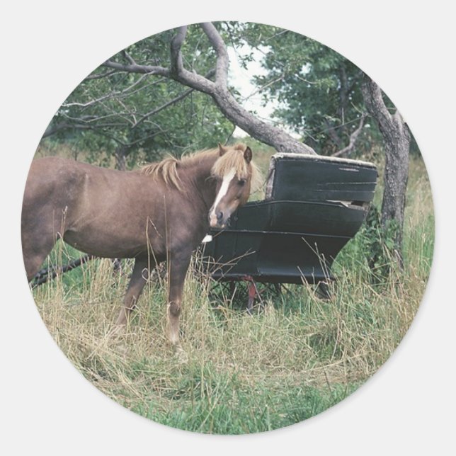 Horse Checking Out Old Buggy Classic Round Sticker (Front)
