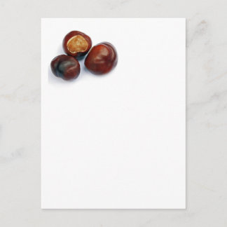 horse chestnut postcard