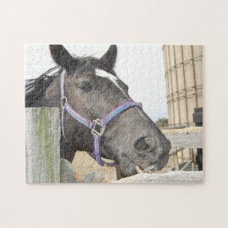 Horse Chewing a Fence Post Jigsaw Puzzle