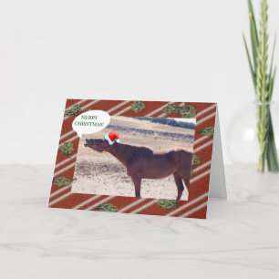 Horse Christmas Card
