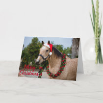 Horse Christmas Card