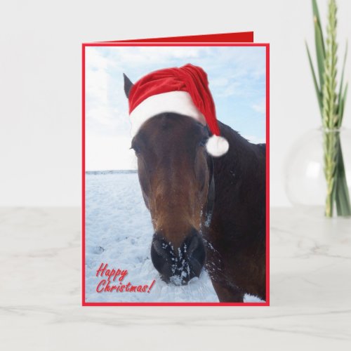 Horse Christmas Card _ blank inside