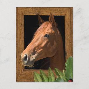 Horse Christmas Holiday Postcard