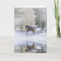 Horse Christmas Season's Greetings Card