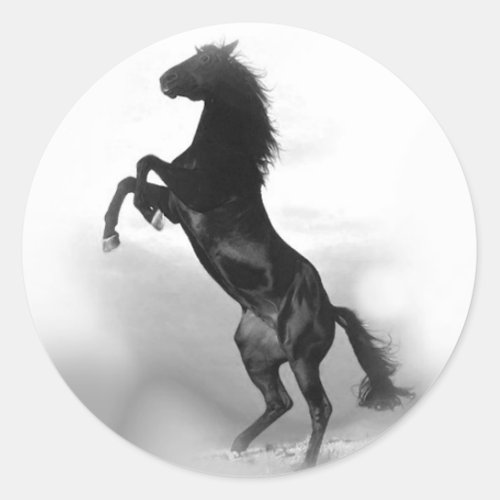 Horse Classic Round Sticker