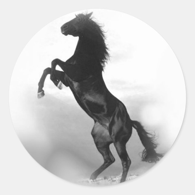Horse Classic Round Sticker (Front)