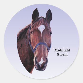Horse Classic Round Sticker by GillianOwenHorses at Zazzle