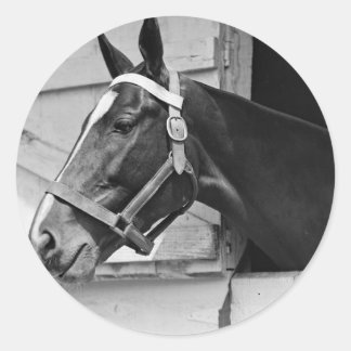 Horse Classic Round Sticker