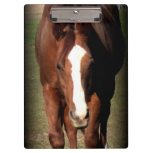 Horse Clipboard