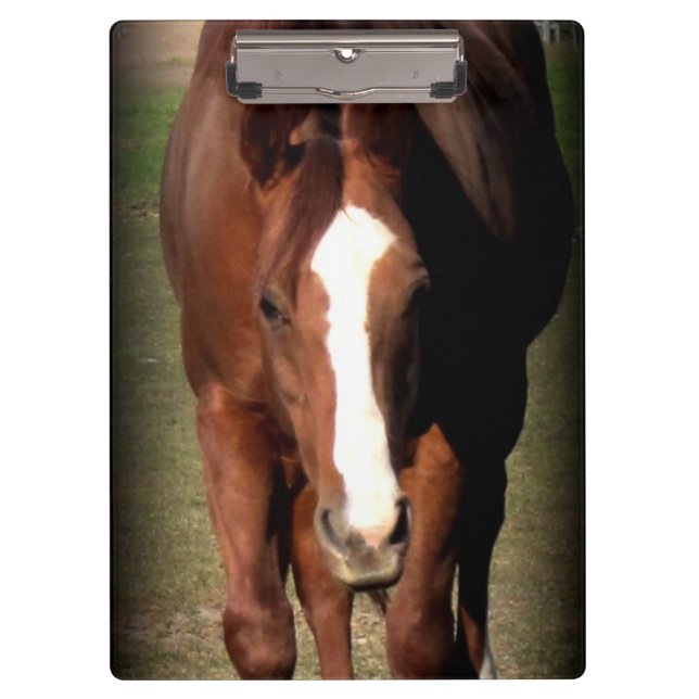 Horse Clipboard (Front)
