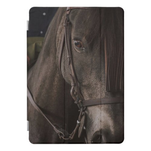 Horse close up iPad pro cover