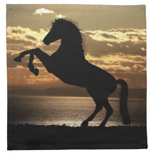 horse cloth napkin