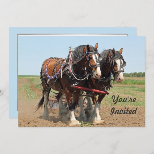 Horse Clydesdale Farming Photo Birthday Invitation