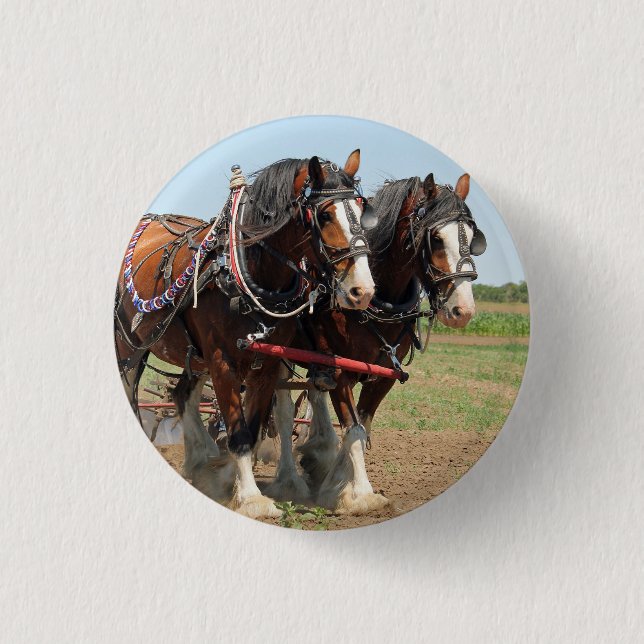 Horse Clydesdale Farming Photo Button (Front)