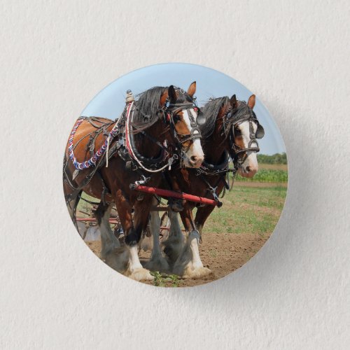 Horse Clydesdale Farming Photo Button