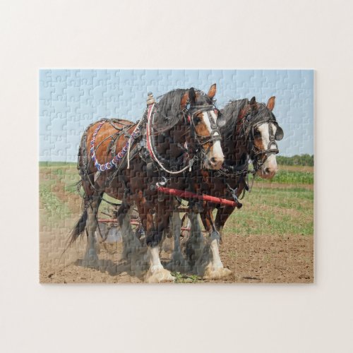 Horse Clydesdale Farming Photo Jigsaw Puzzle