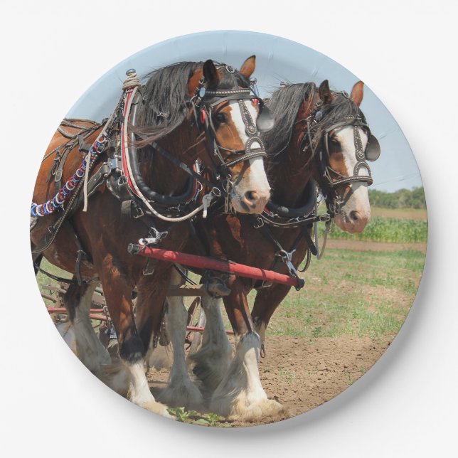 Horse Clydesdale Farming Photo Paper Plates (Front)